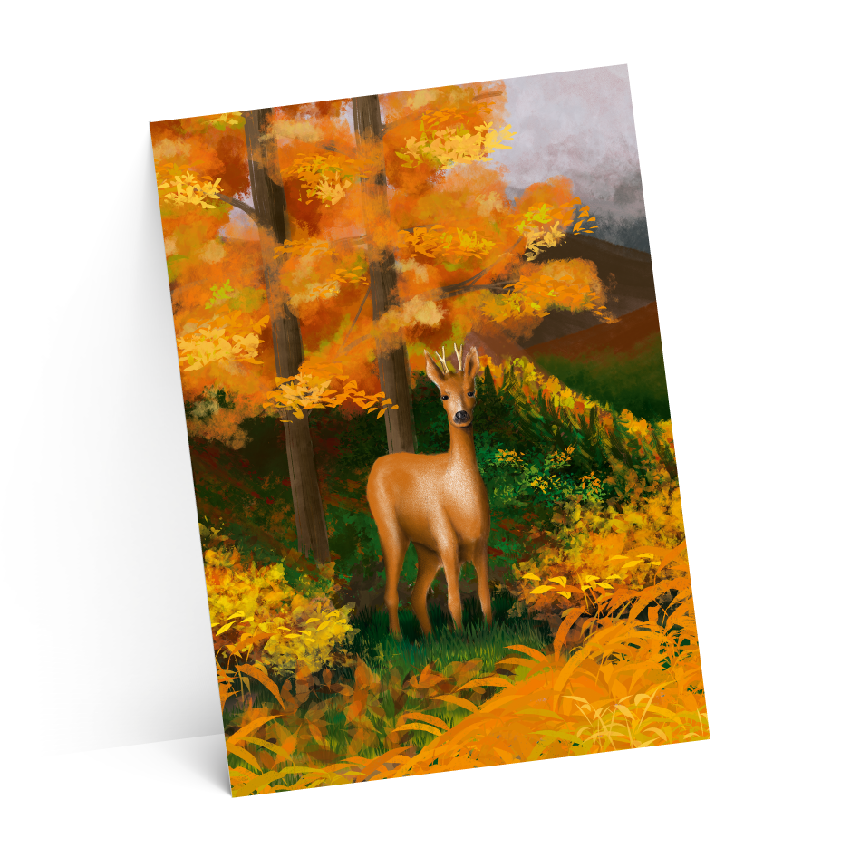 carton suze-test-2-ombres-4