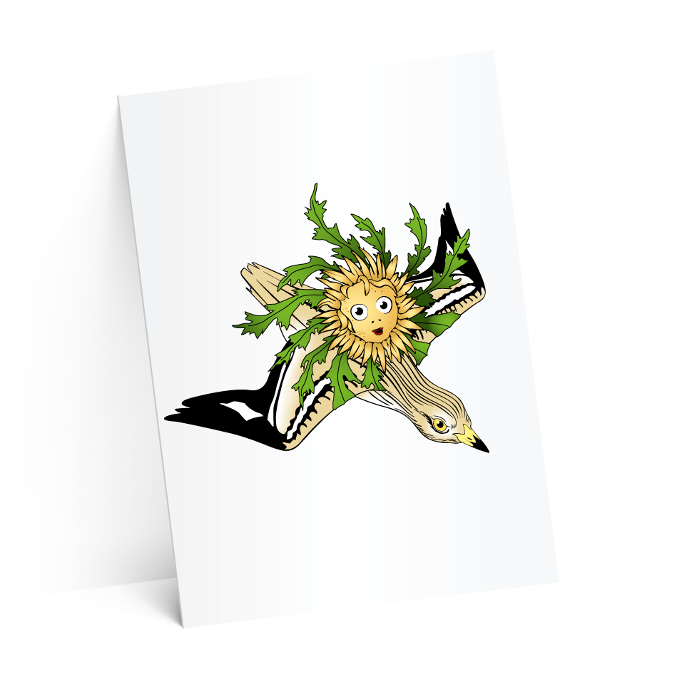 carton suze-test-2-ombres-4