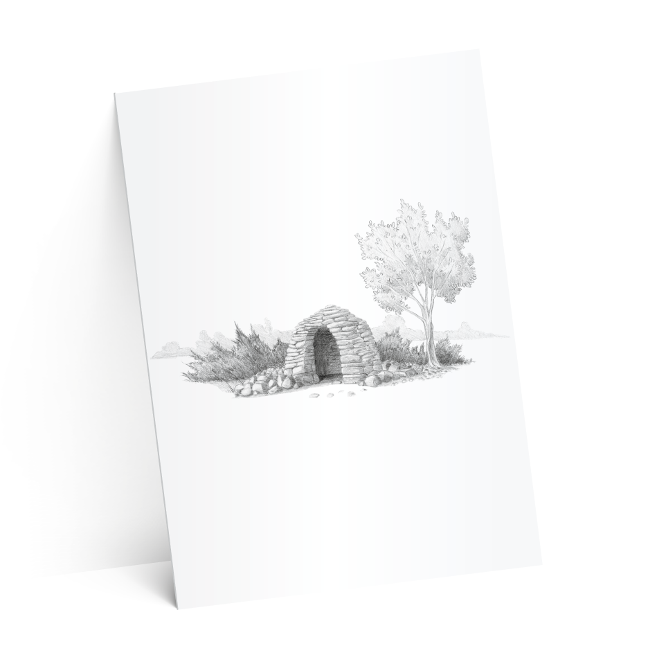 carton suze-test-2-ombres-4