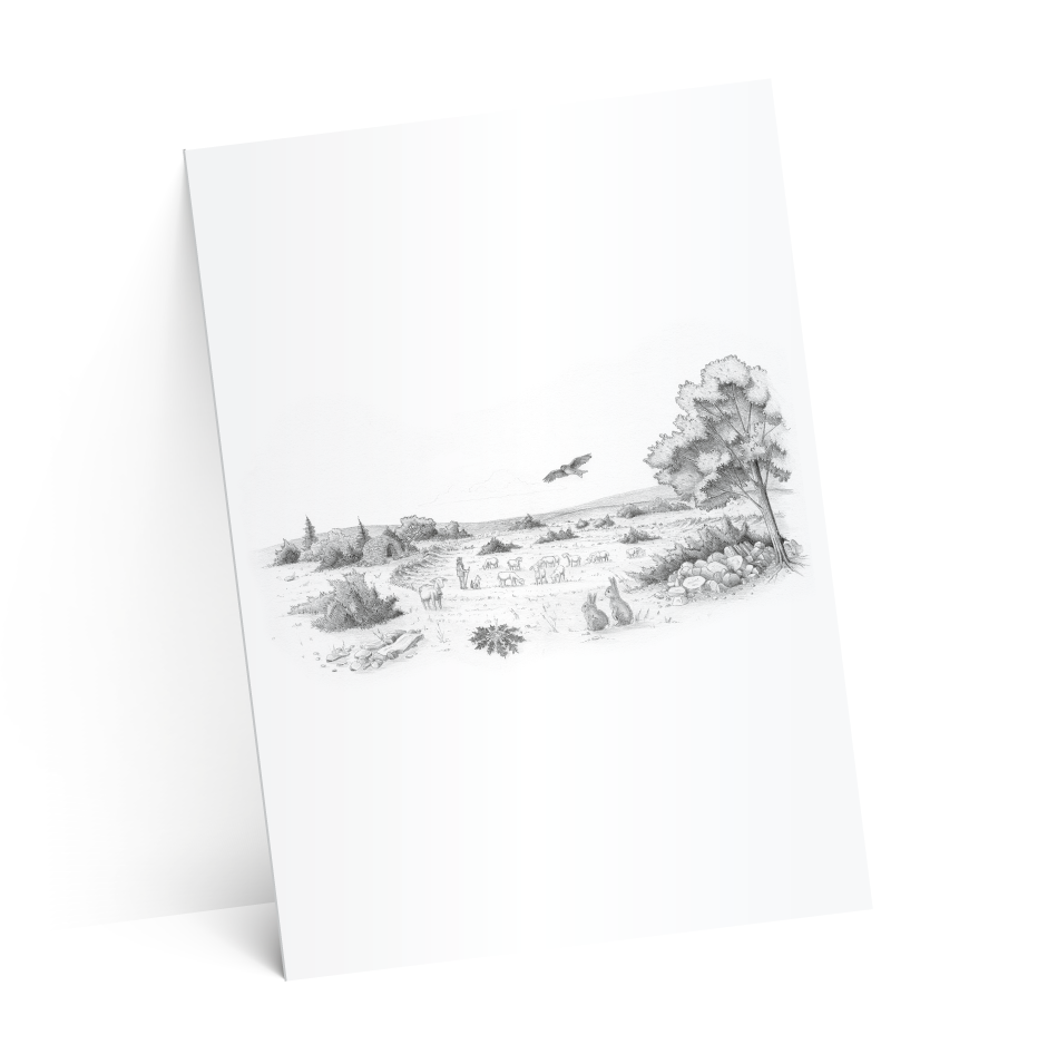 carton suze-test-2-ombres-4