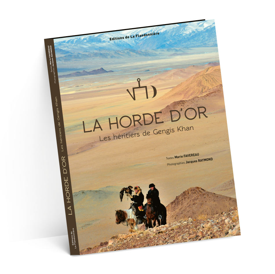 carton suze-test-2-ombres-4