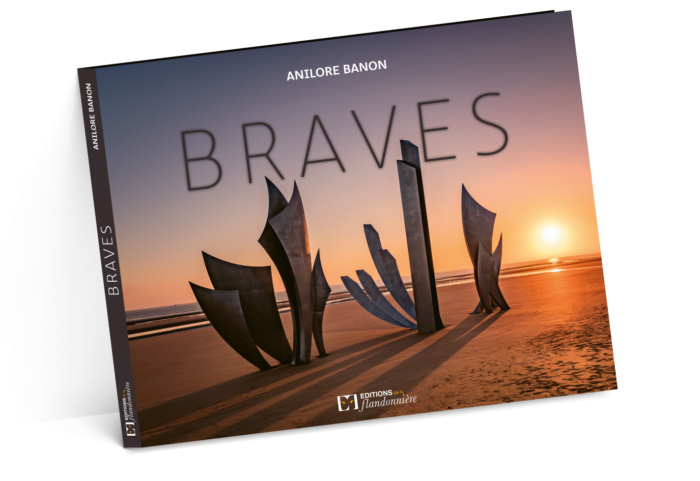 carton suze-test-2-ombres-4