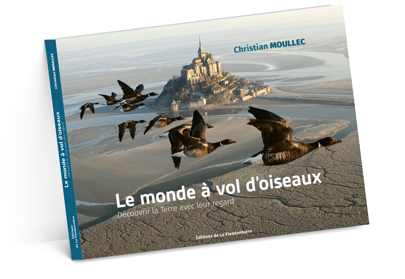 carton suze-test-2-ombres-4