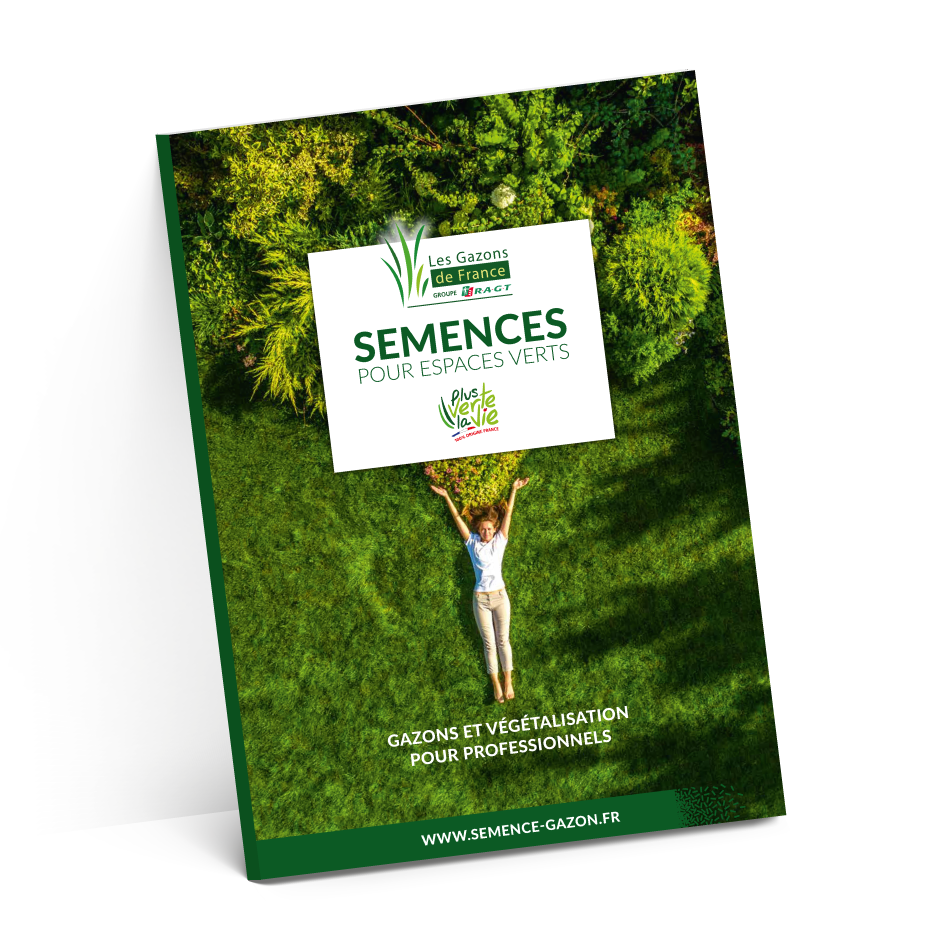 carton base plaquette LGDF