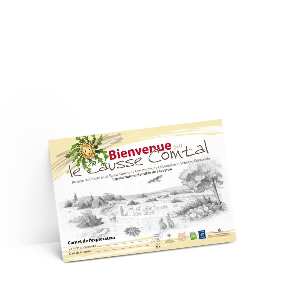 carton suze-test-2-ombres-4