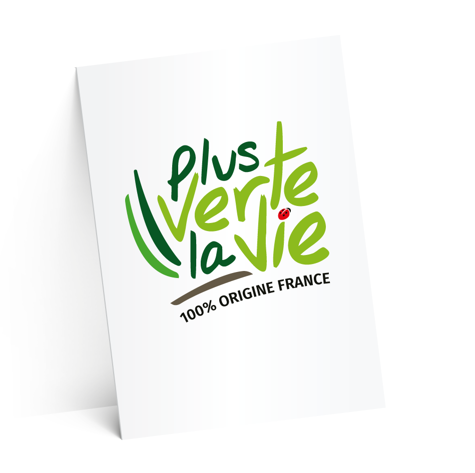 carton suze-test-2-ombres-4